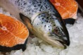 /album/galerie-de-photos-poissonnerie/darnes-jpg/