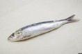 /album/galerie-de-photos-poissonnerie/o-manger-du-poisson-facebook-jpg/