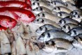 /album/galerie-de-photos-poissonnerie/a548105-501672073194883-374827860-n-jpg/