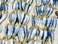 /album/galerie-de-photos-poissonnerie/a543691-453050828057008-1486374165-n-jpg/