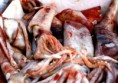 /album/galerie-de-photos-poissonnerie/a179945-453050491390375-705237051-n-jpg/
