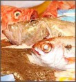 /album/galerie-de-photos-poissonnerie/a542090-453050428057048-187336681-n-jpg/