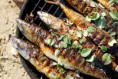 /album/galerie-de-photos-grillades/bbq-petit-1-jpg/